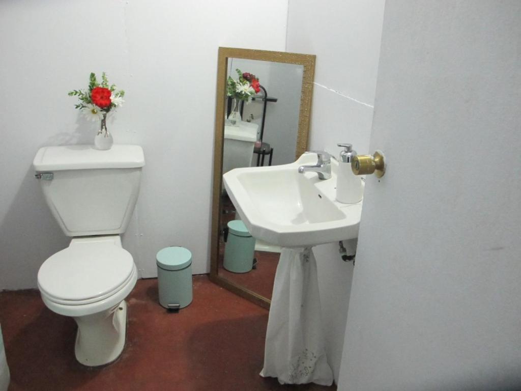 Habitaciones Centro Пукон Экстерьер фото