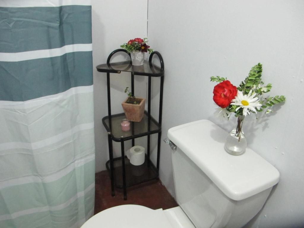 Habitaciones Centro Пукон Экстерьер фото